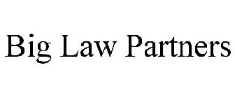 BIG LAW PARTNERS