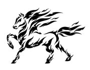 Image Trademark