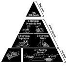 FATS, OIL & SWEETS DECREASE 2-3 SERVINGS PROTEIN RICH FOOD 3-5 SERVINGS VEGETABLES 2-4 SERVINGS FRUIT EVERY DAY USE 6-11 SERVINGS CEREALS BITE+ INCREASE