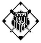 AAU USA