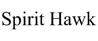SPIRIT HAWK