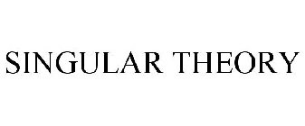 SINGULAR THEORY