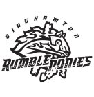 BINGHAMTON RUMBLE PONIES