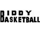 BIDDY BASKETBALL