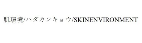 SKINENVIRONMENT