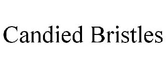 CANDIED BRISTLES