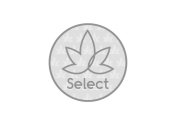 SELECT