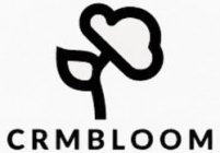 CRMBLOOM