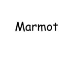 MARMOT