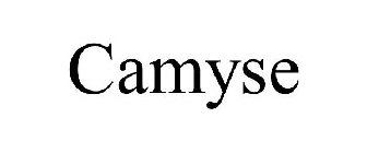 CAMYSE