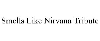 SMELLS LIKE NIRVANA TRIBUTE