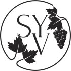 SYV