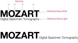 MOZART DIGITAL SPECIMEN TOMOGRAPHY MOZART DST