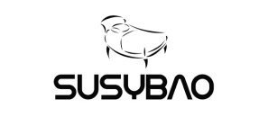 SUSYBAO