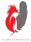 PLUME STRATEGIES
