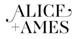 ALICE + AMES