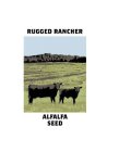 RUGGED RANCHER ALFALFA SEED