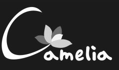 CAMELIA