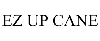 EZ UP CANE
