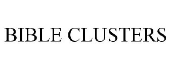 BIBLE CLUSTERS
