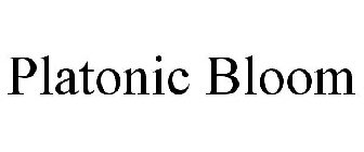 PLATONIC BLOOM