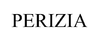 PERIZIA