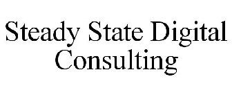 STEADY STATE DIGITAL CONSULTING