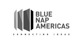 BLUE NAP AMERICAS CONNECTING IDEAS