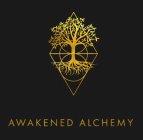 AWAKENED ALCHEMY