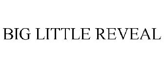 BIG LITTLE REVEAL