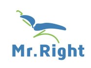 MR. RIGHT