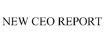 NEW CEO REPORT