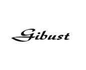 GIBUST