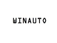 WINAUTO