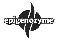 EPIGENOZYME