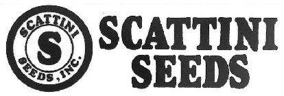 SCATTINI S SEEDS, INC. SCATTINI SEEDS