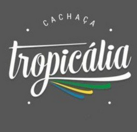 CACHAÇA TROPICÁLIA