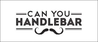 CAN YOU HANDLEBAR