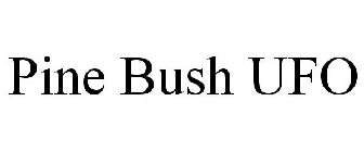 PINE BUSH UFO