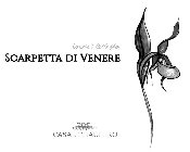 VENERE'S LITTLE SHOE SCARPETTA DI VENERE CASAL THAULERO