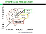 BRAINSTATES MANAGEMENT