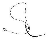 SL
