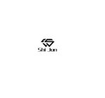 SHI JUN