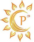 P3