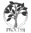 |PROCESS|