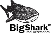 BIG SHARK POOL ACCESSORIES