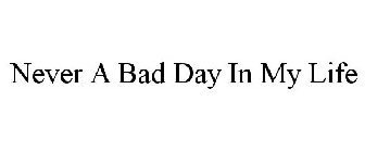 NEVER A BAD DAY IN MY LIFE