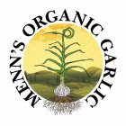 MENN'S ORGANIC GARLIC