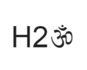 H2