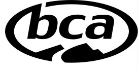 BCA